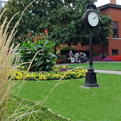Commercial Landscape photo