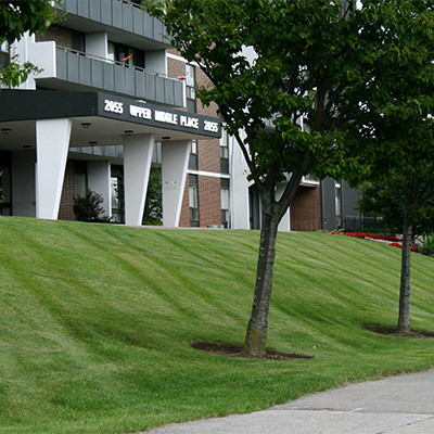 Commercial Landscape photo