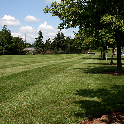 Commercial Landscape photo