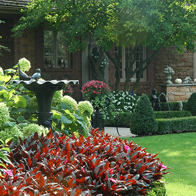 residential Landscape photo