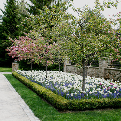 residential Landscape photo