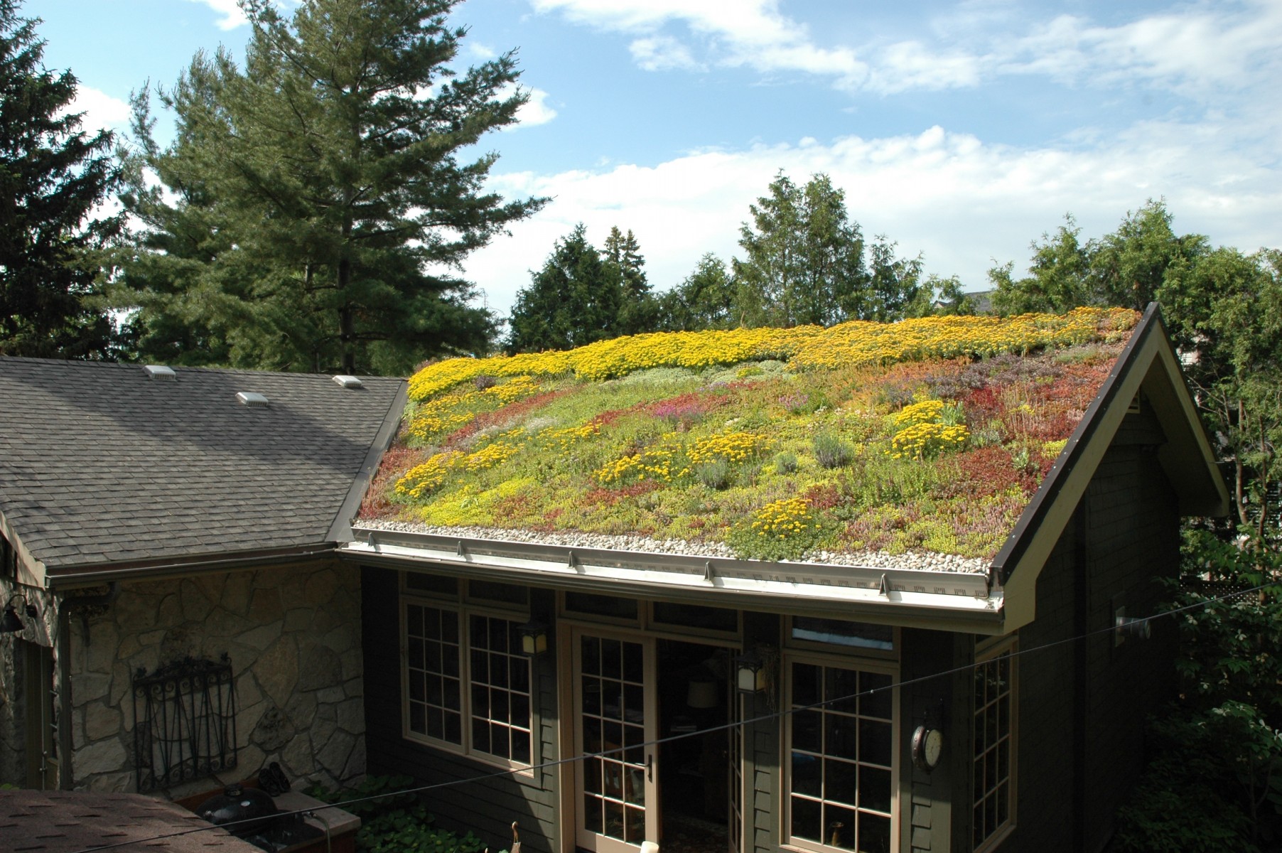 The green roof hamilton deals