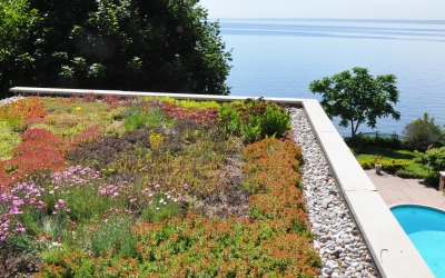 Green Roofs